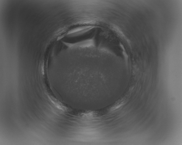 X0000074030068200609061152