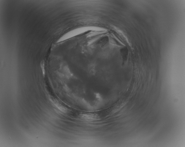 X0000074030069200609061152