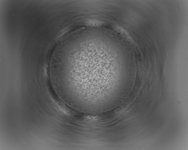 X0000074030071200609061152