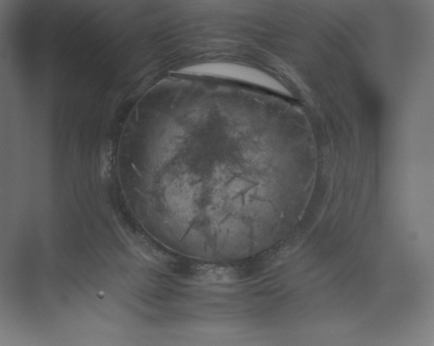 X0000074030073200609061152