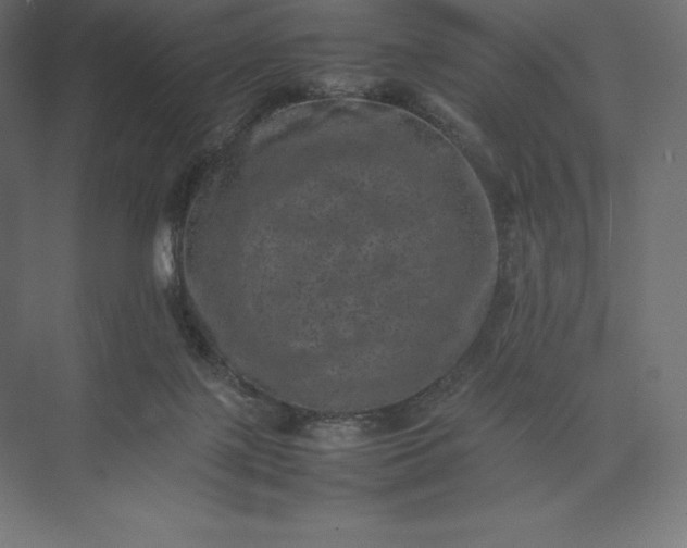 X0000074030075200609061152