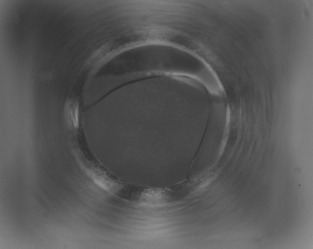 X0000074030076200609061152