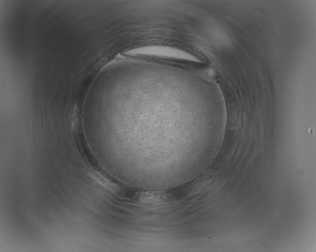 X0000074030077200609061152