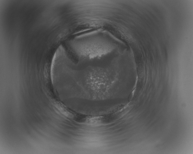 X0000074030078200609061152