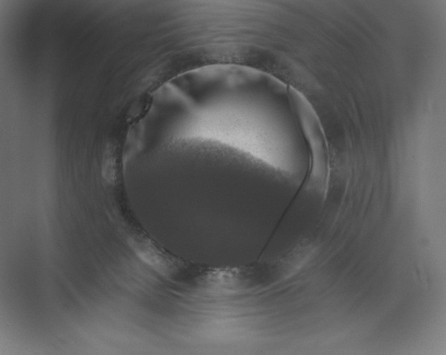 X0000074030080200609061152