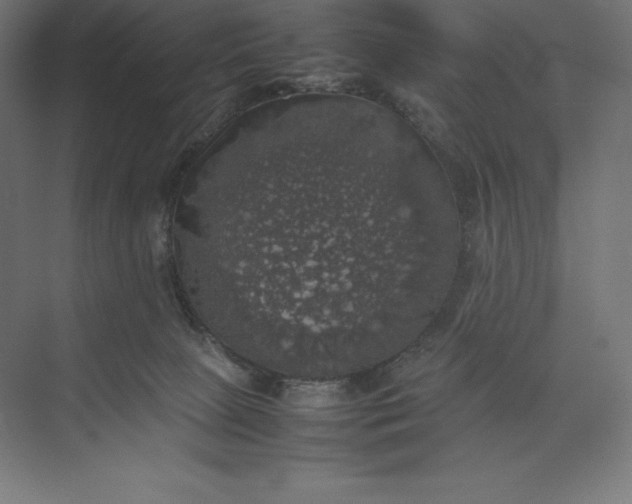 X0000074030081200609061152