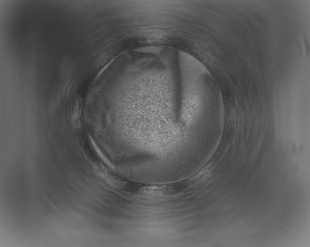 X0000074030082200609061153