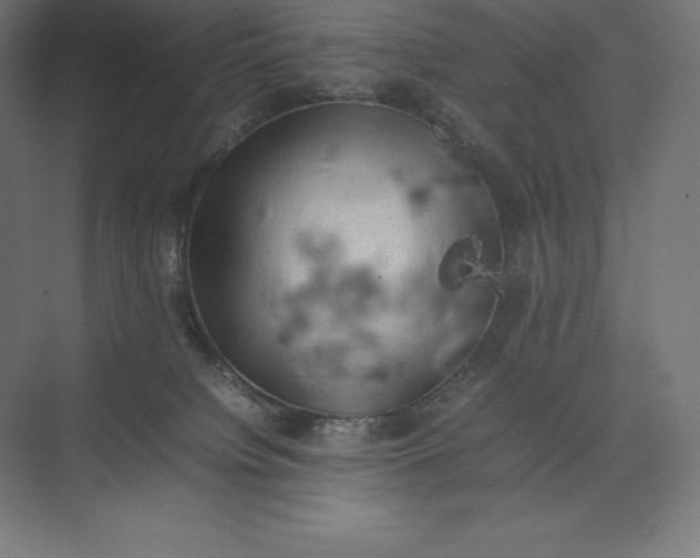 X0000074030084200609061153