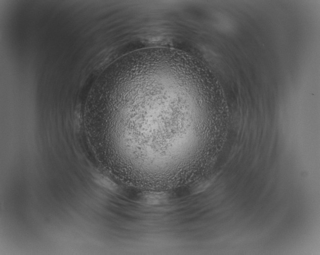 X0000074030085200609061153