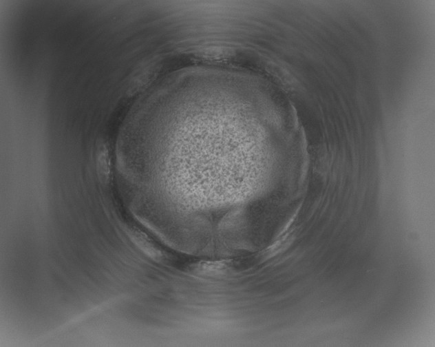 X0000074030086200609061153