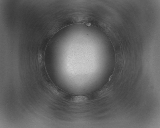 X0000074030087200609061153