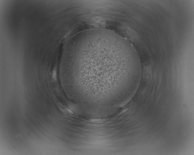 X0000074030088200609061153