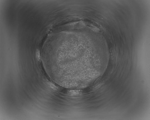 X0000074030089200609061153