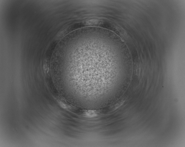 X0000074030091200609061153