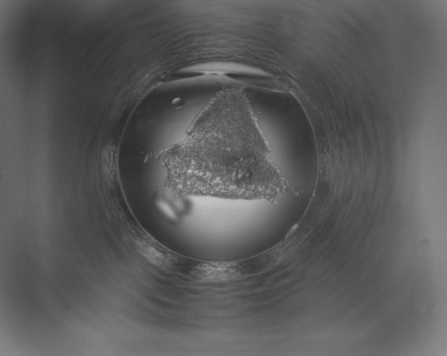 X0000074030093200609061153