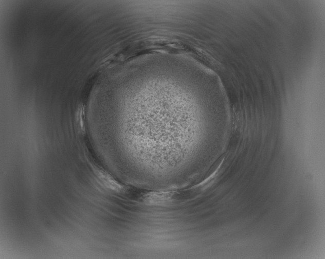 X0000074030094200609061153