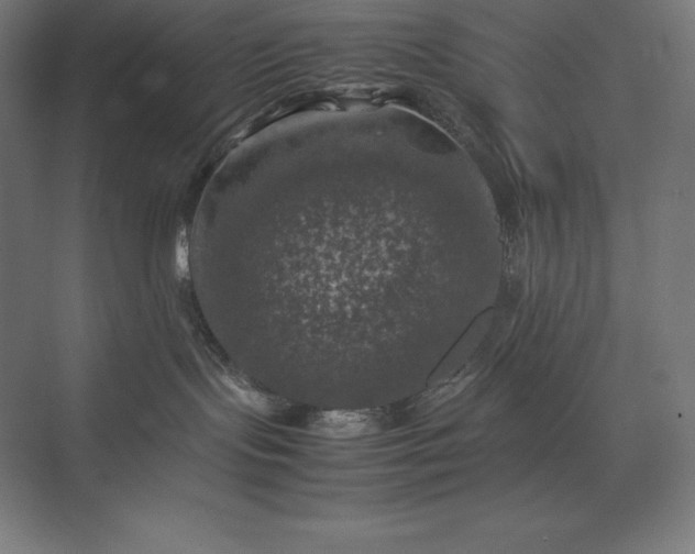 X0000074030095200609061153