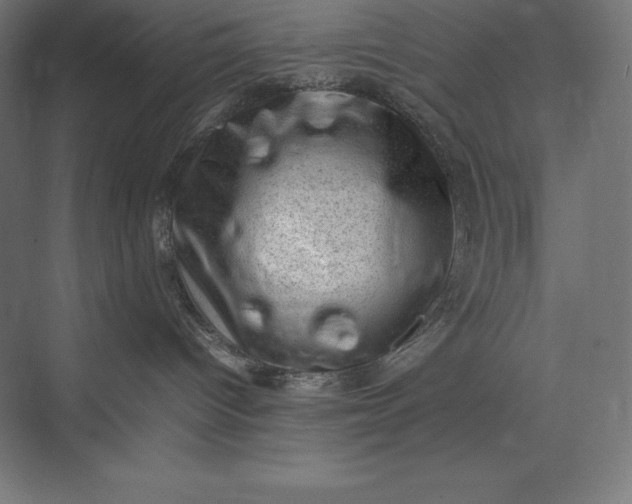 X0000074030096200609061153