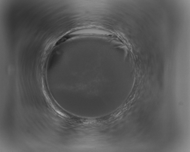 X0000074030097200609061152