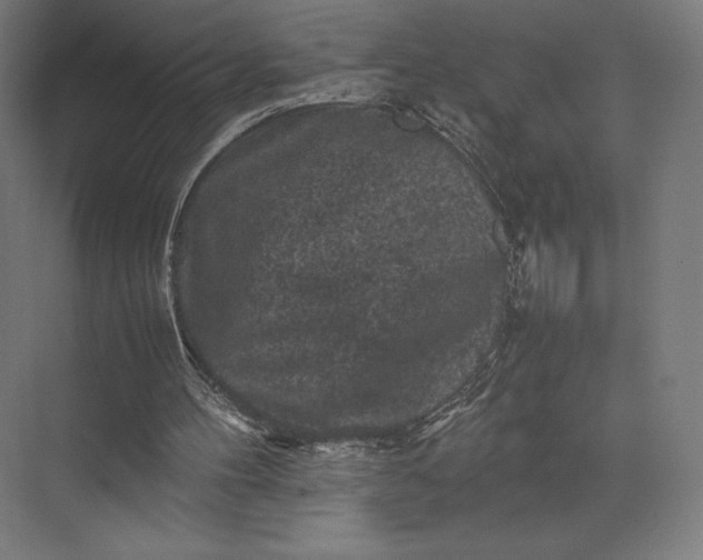 X0000074030100200609061152