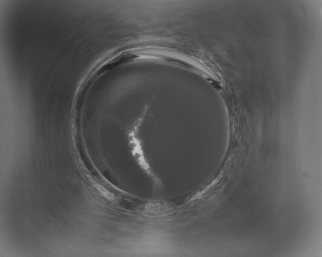 X0000074030101200609061152