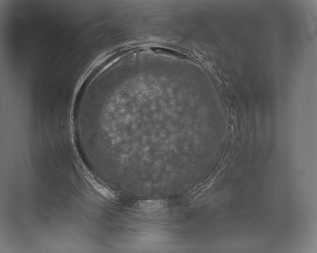 X0000074030102200609061152