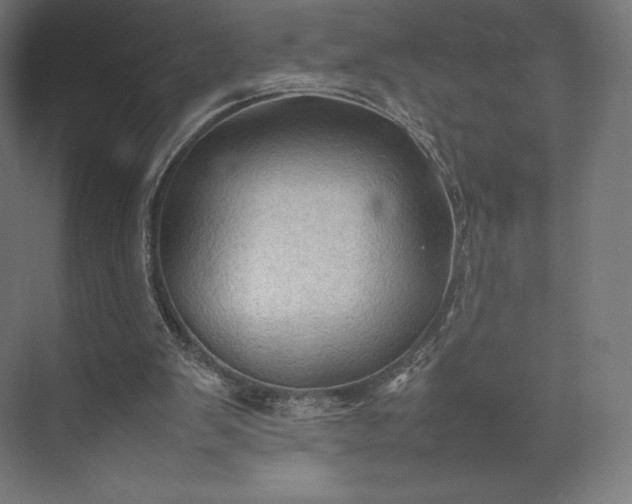 X0000074030103200609061152