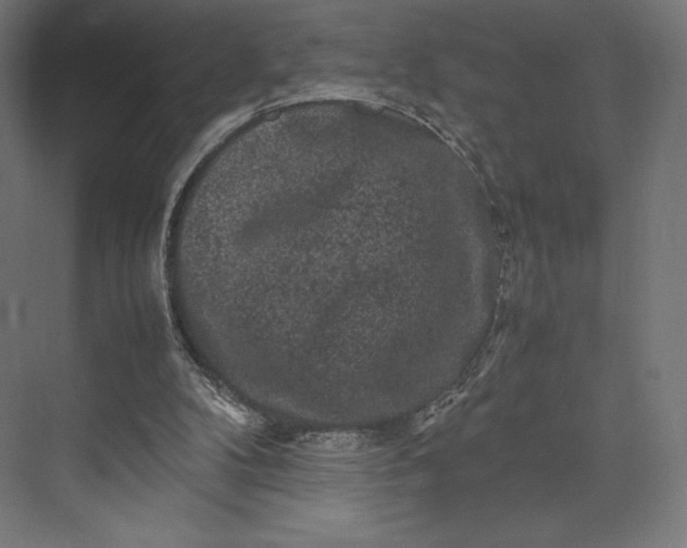 X0000074030104200609061152