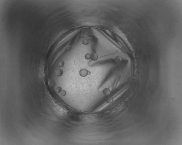 X0000074030106200609061152