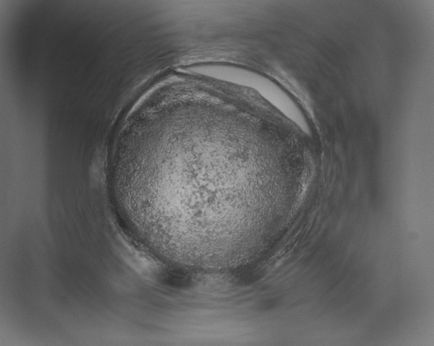 X0000074030107200609061152