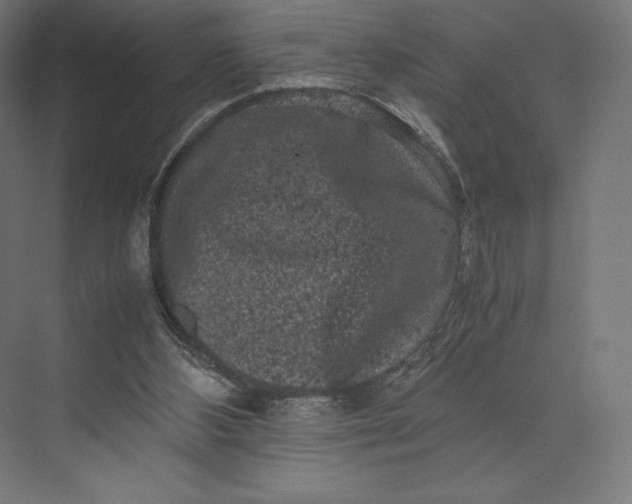 X0000074030108200609061152