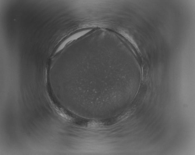 X0000074030109200609061152