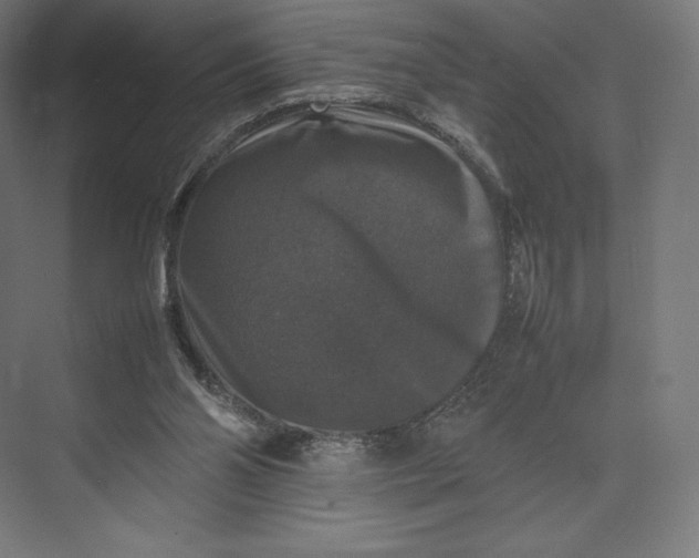 X0000074030110200609061152