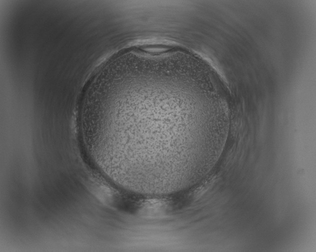 X0000074030111200609061152