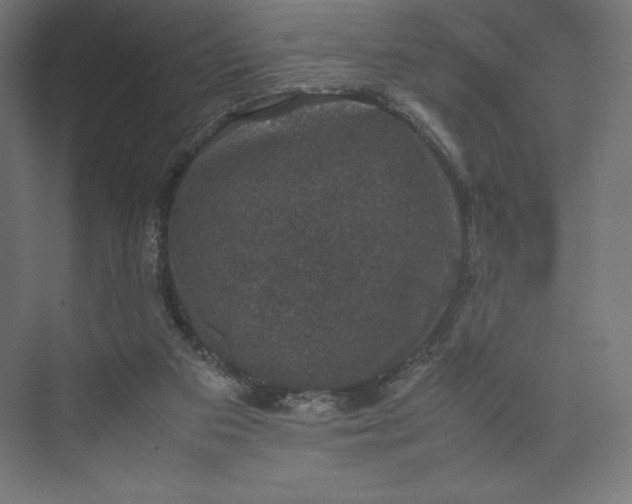 X0000074030113200609061152