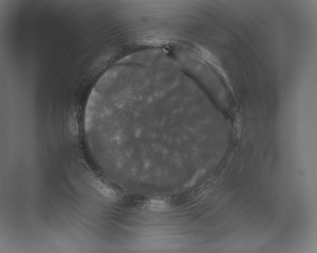 X0000074030114200609061152