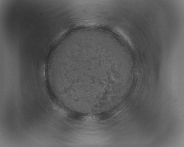 X0000074030115200609061152