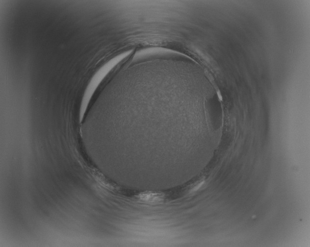 X0000074030117200609061152