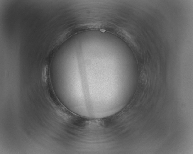 X0000074030118200609061152