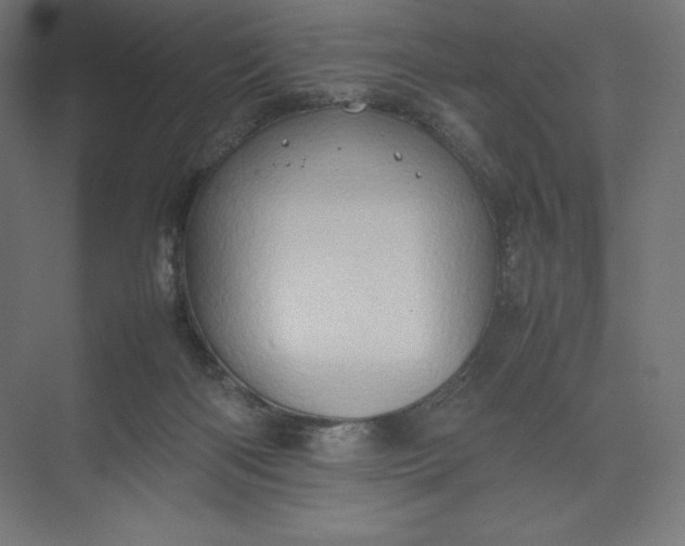 X0000074030122200609061152