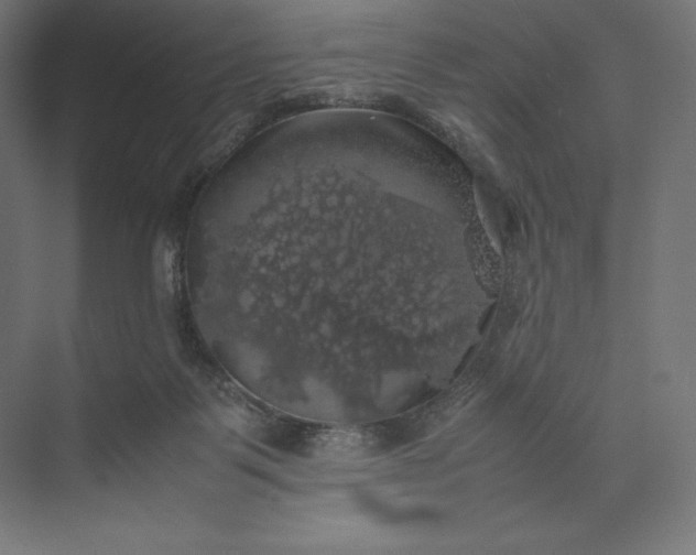 X0000074030123200609061151