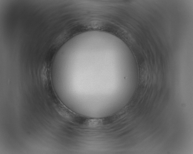 X0000074030126200609061151