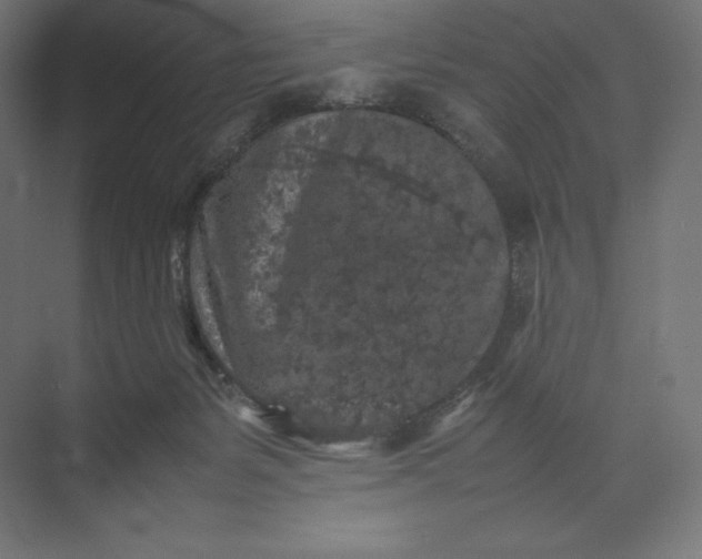 X0000074030127200609061151