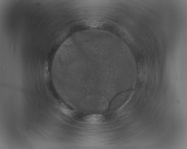 X0000074030128200609061151