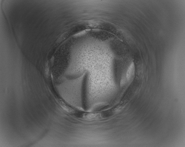 X0000074030129200609061151