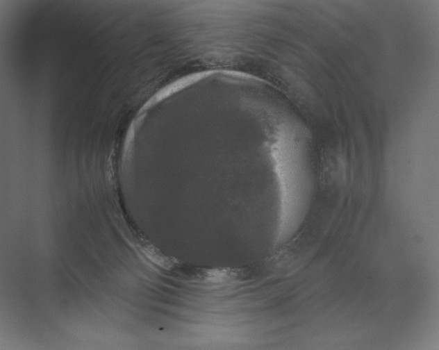 X0000074030130200609061151