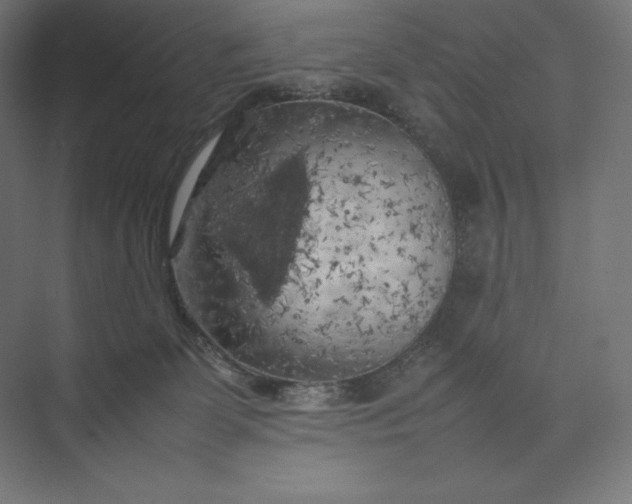 X0000074030131200609061151