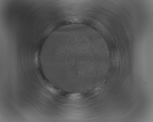 X0000074030132200609061151