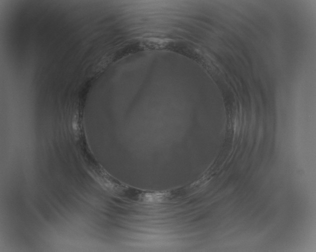 X0000074030134200609061151