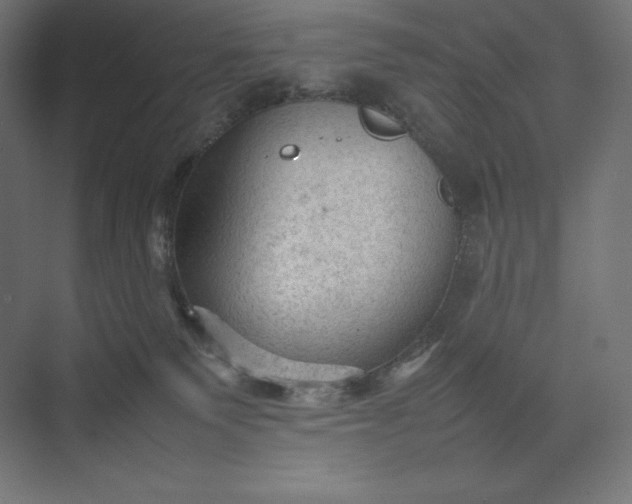 X0000074030135200609061151